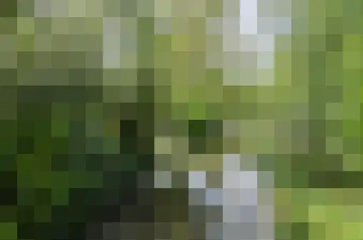 Maaibeemd 93 Breda thumbnail 47