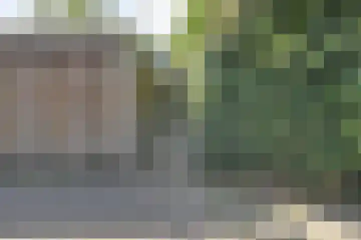 Maaibeemd 93 Breda thumbnail 48