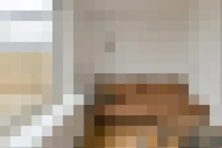 Maaibeemd 93 Breda thumbnail 5