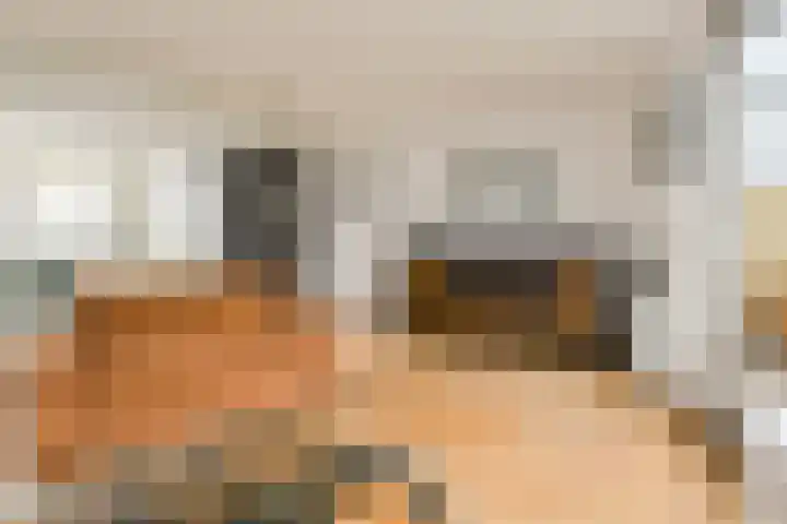 Maaibeemd 93 Breda thumbnail 6