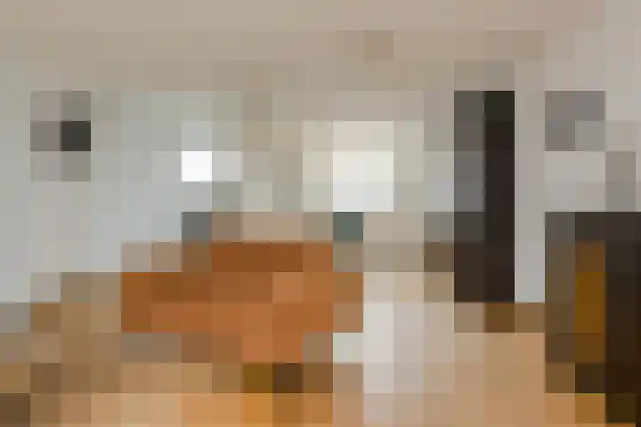 Maaibeemd 93 Breda thumbnail 8