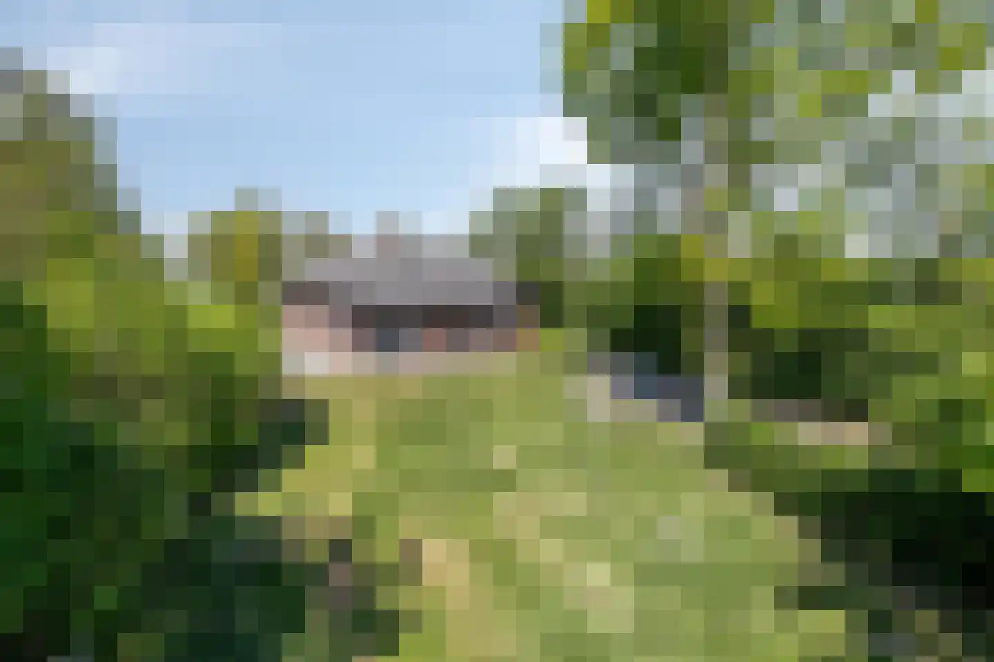 Maaidijk 11 Oostburg thumbnail 29