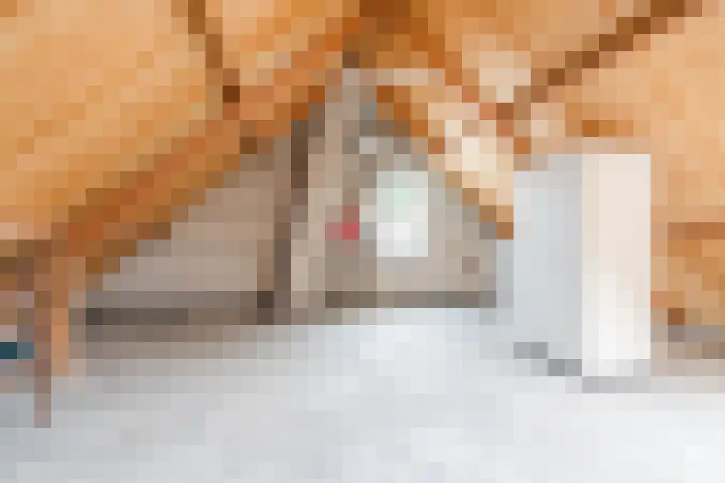 Maaierhei 1 Veldhoven thumbnail 23