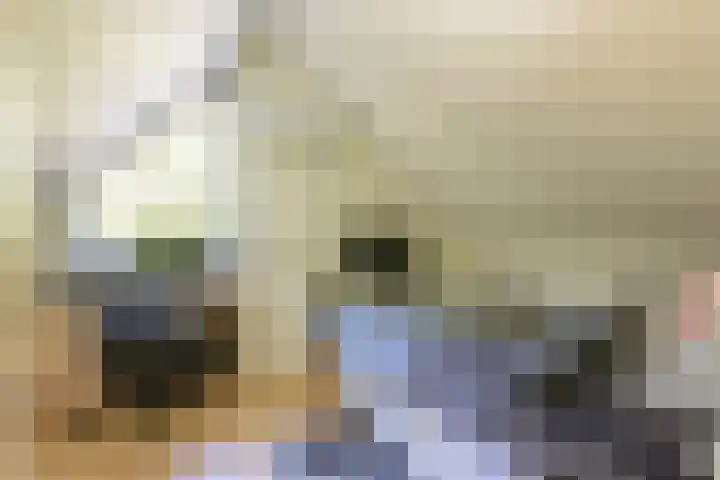 Maaierhof 22 Heerlen thumbnail 13