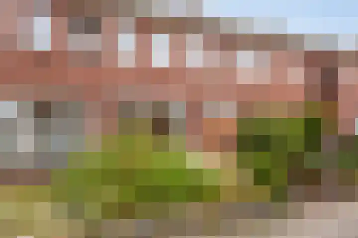 Maaierstraat 12 Enschede thumbnail 7