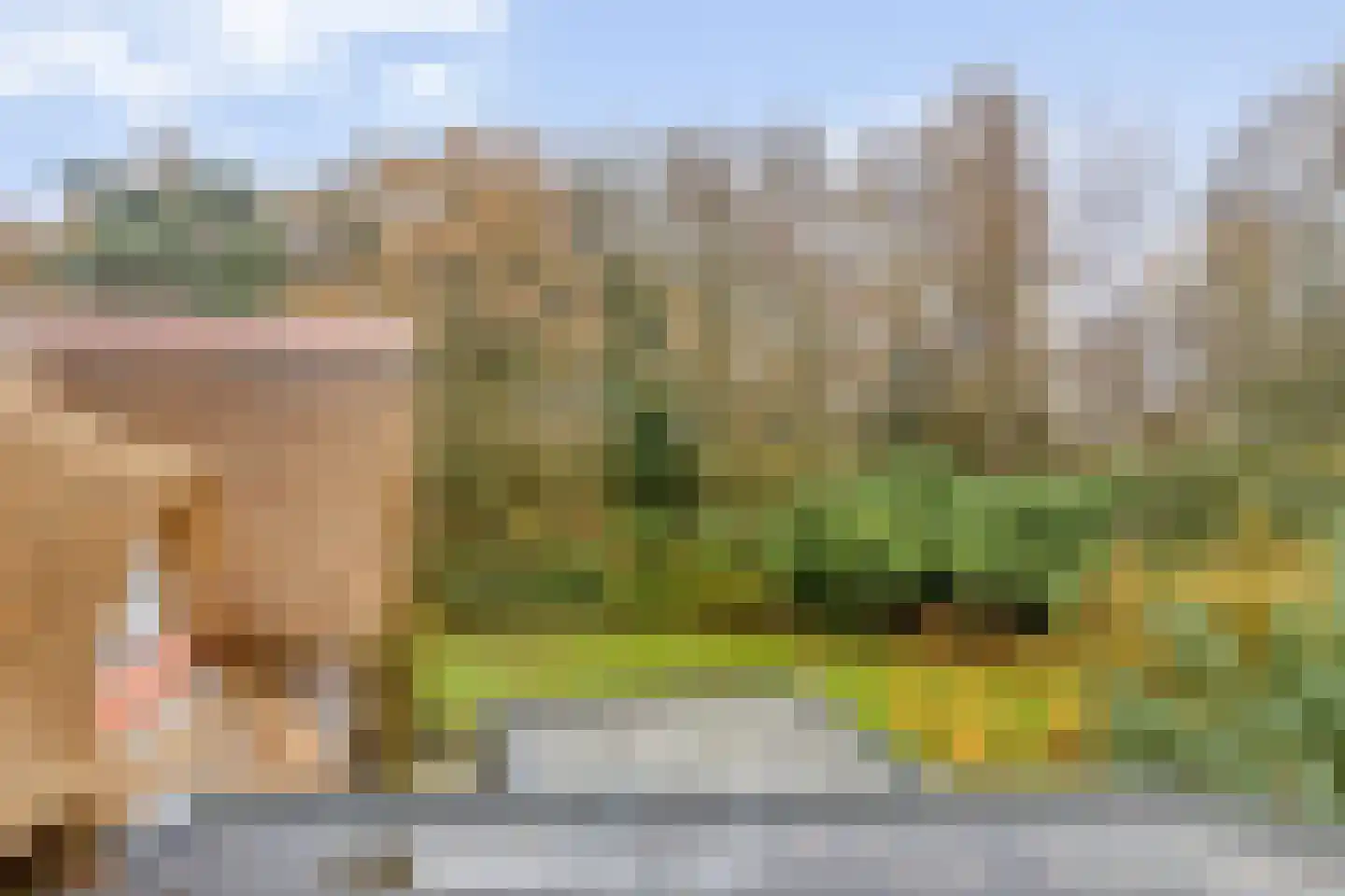Maaij 9 Bergeijk thumbnail 33