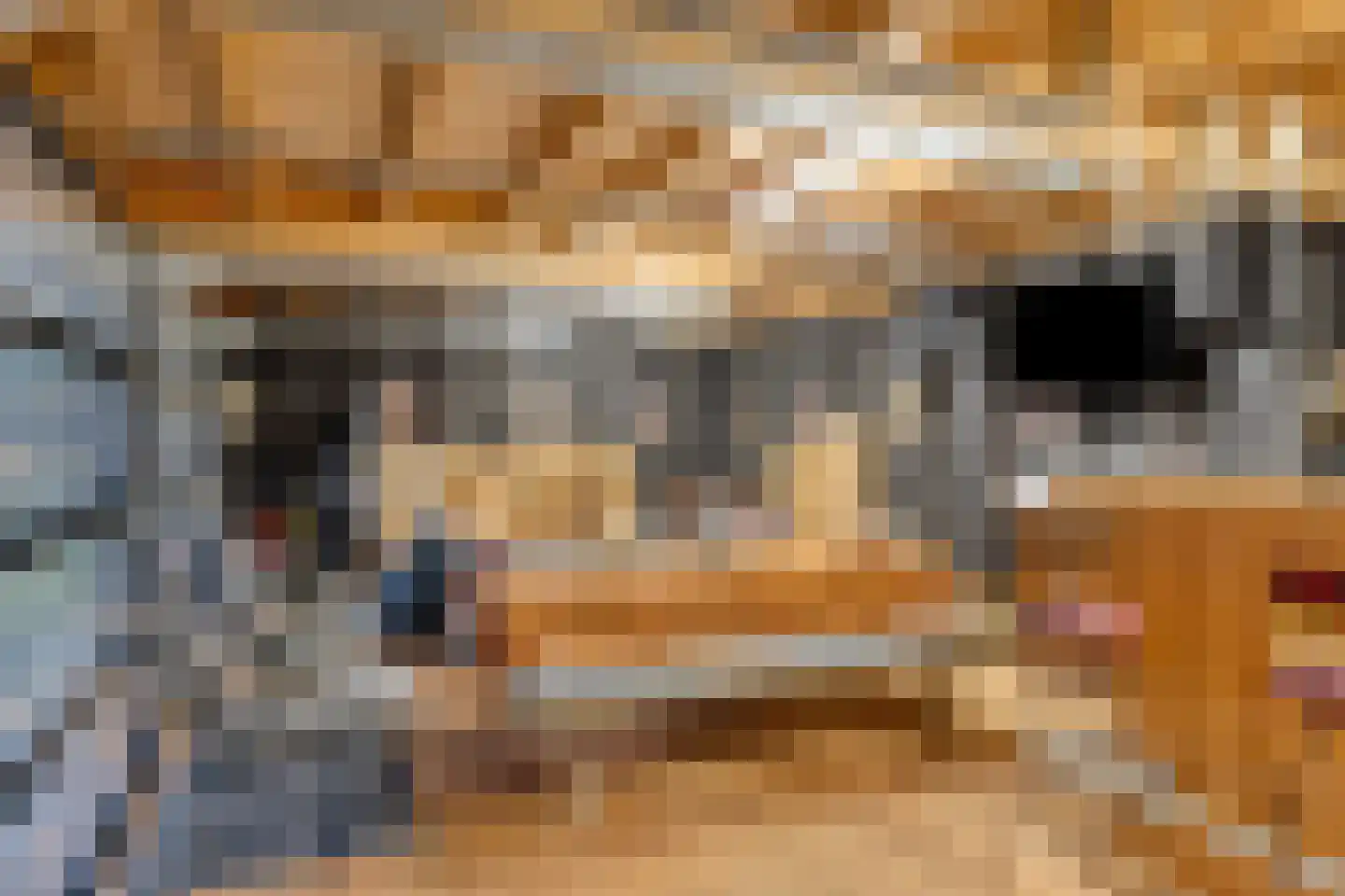 Maaij 9 Bergeijk thumbnail 41
