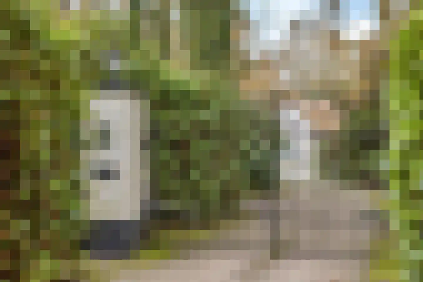 Maaij 9 Bergeijk thumbnail 43