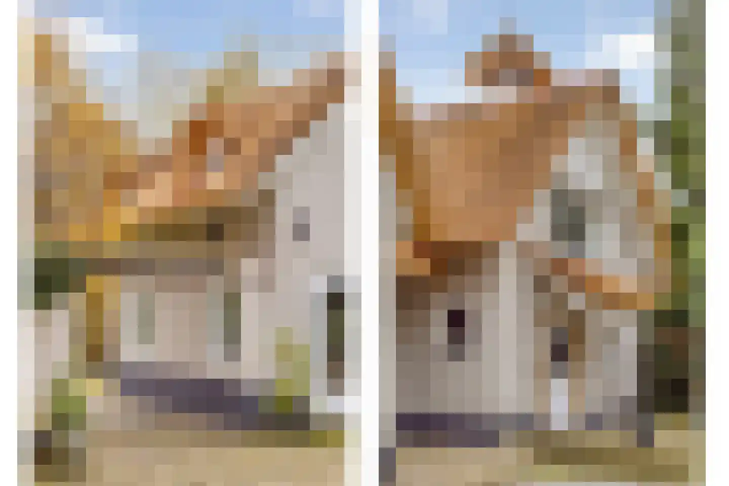 Maaij 9 Bergeijk thumbnail 44