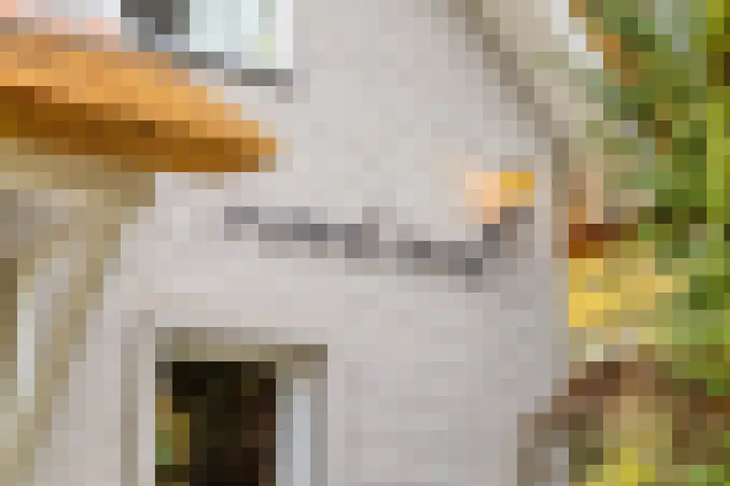 Maaij 9 Bergeijk thumbnail 45