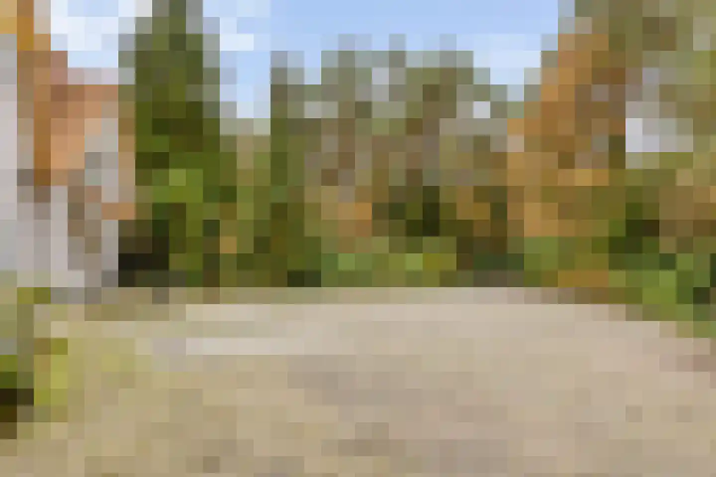 Maaij 9 Bergeijk thumbnail 46