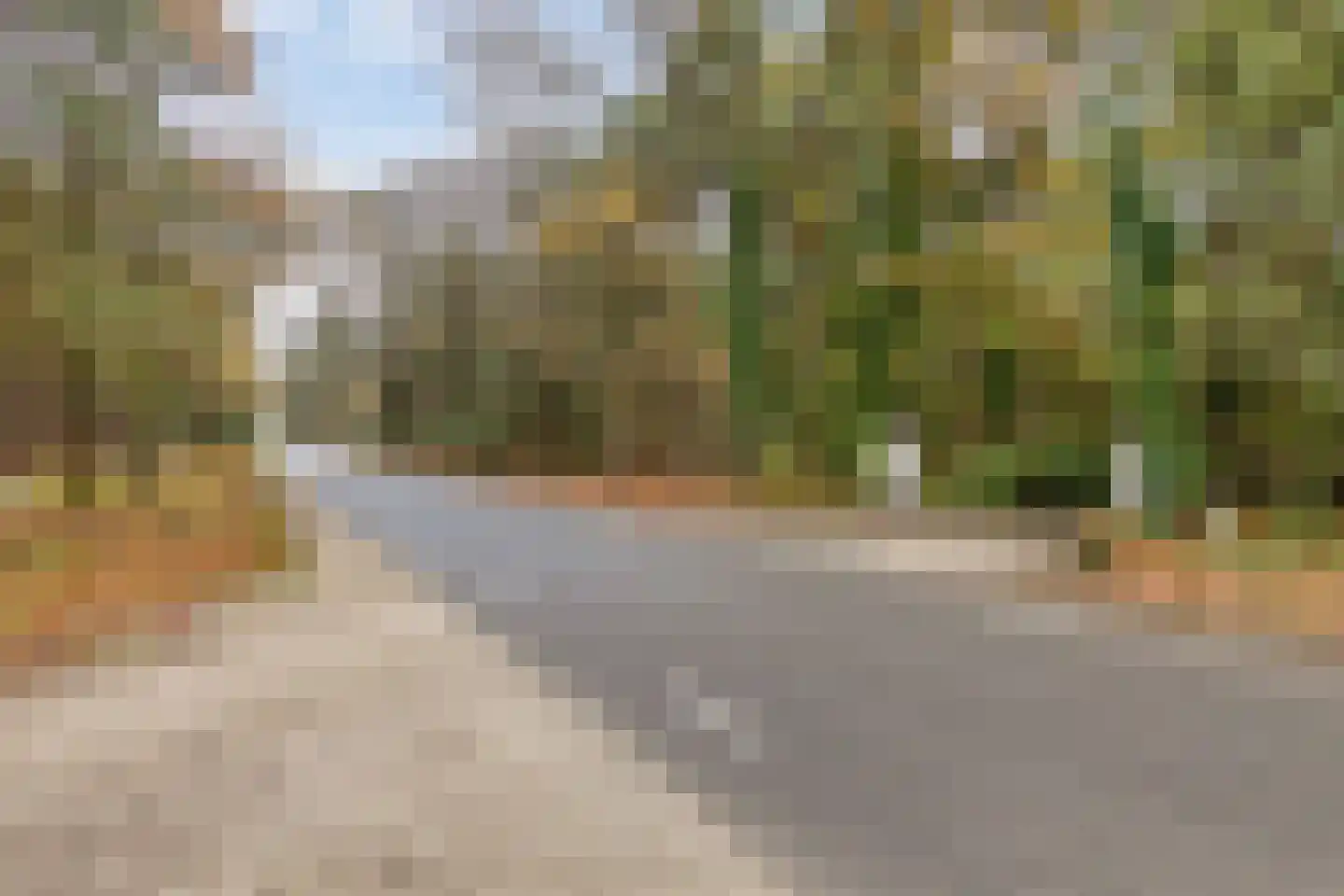 Maaij 9 Bergeijk thumbnail 50