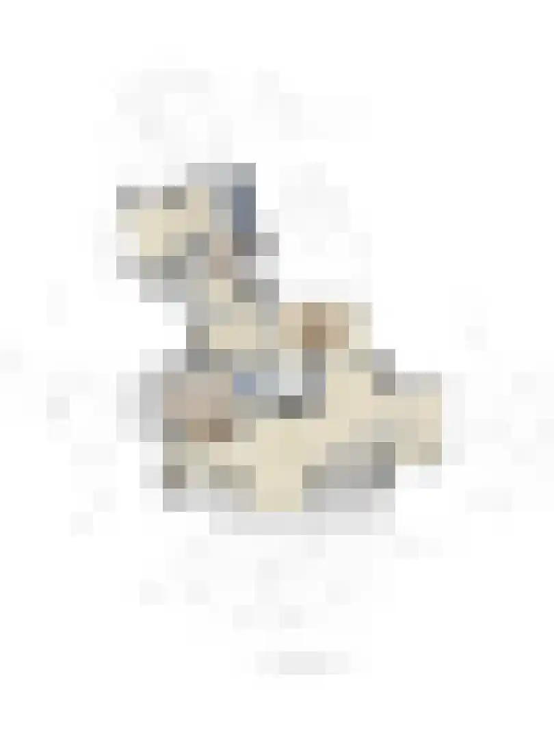 Maaij 9 Bergeijk thumbnail 51