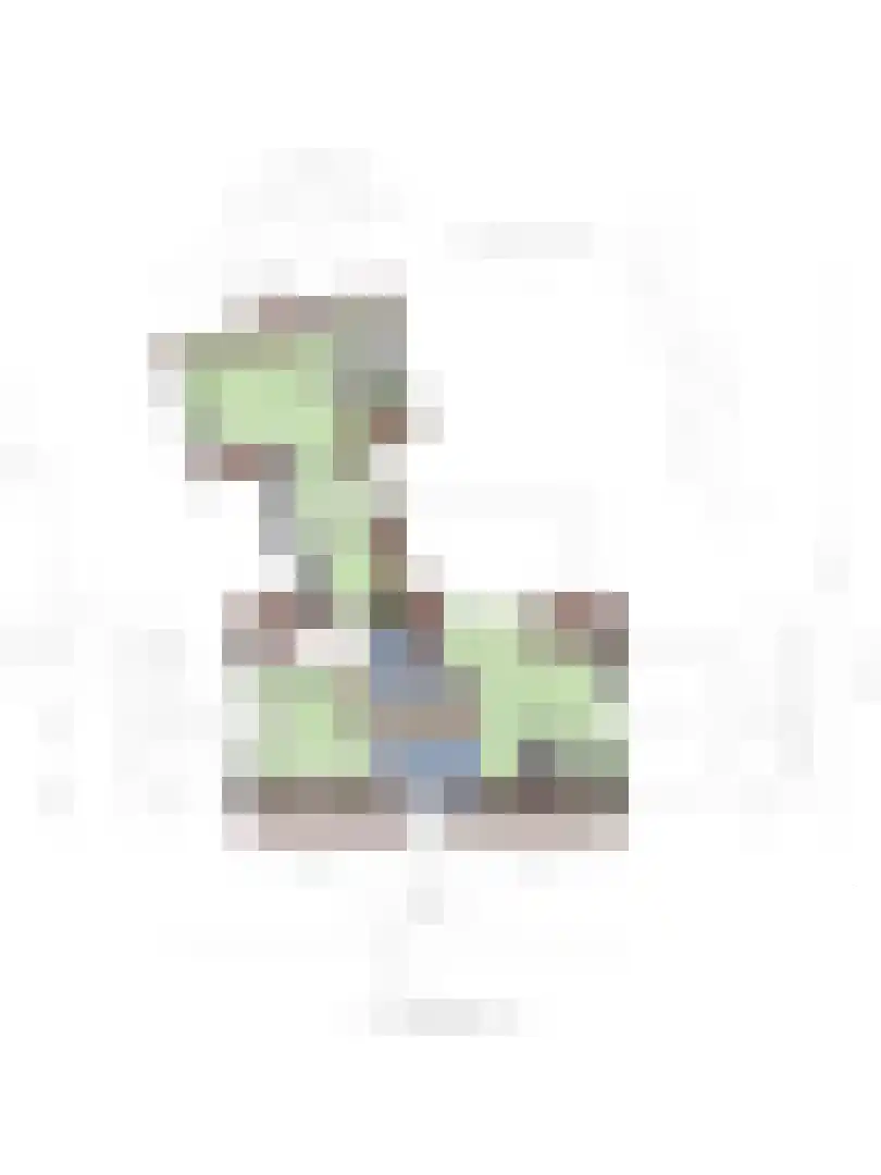 Maaij 9 Bergeijk thumbnail 52