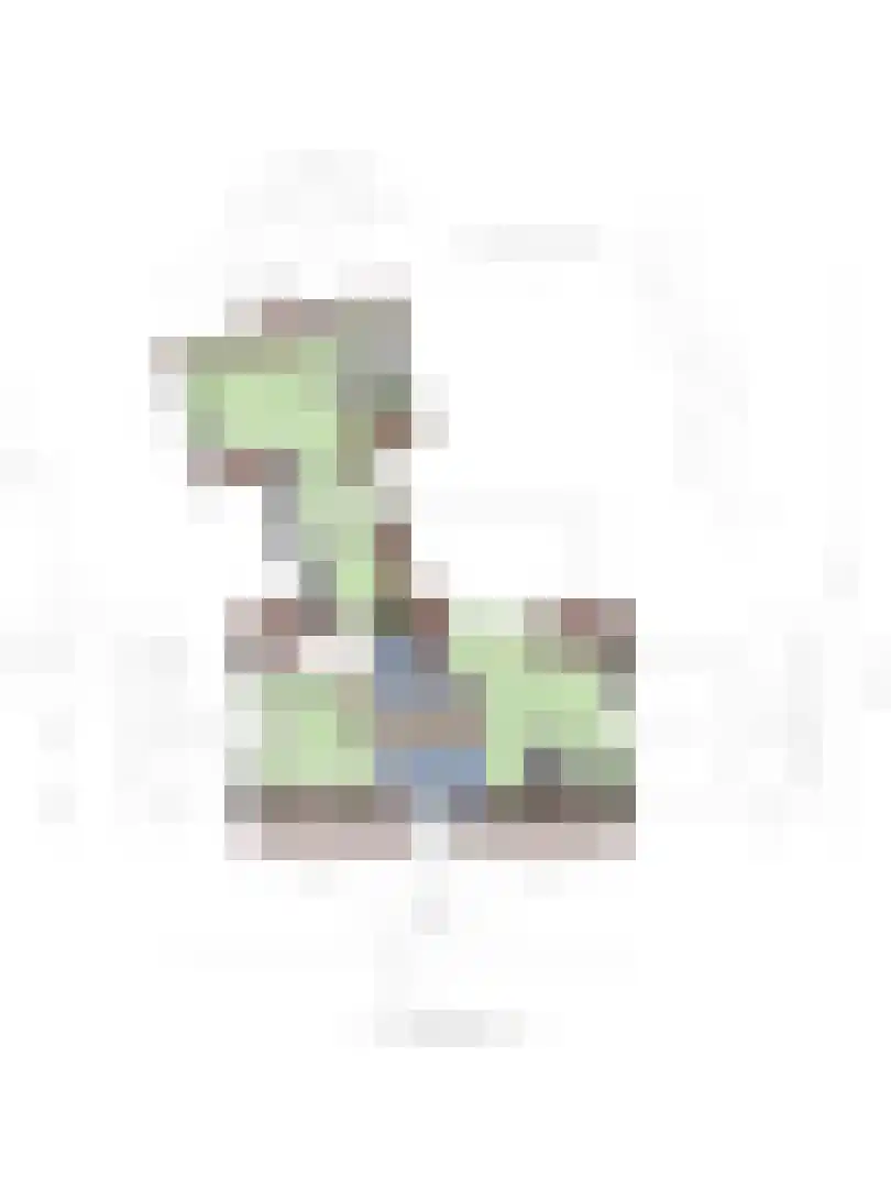 Maaij 9 Bergeijk thumbnail 52