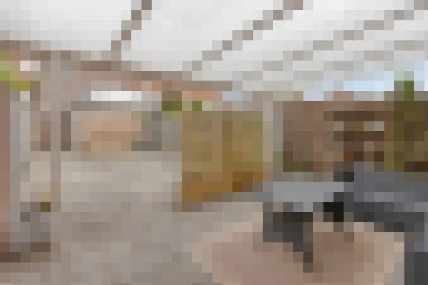Maaikensveld 22 Roosendaal thumbnail 30