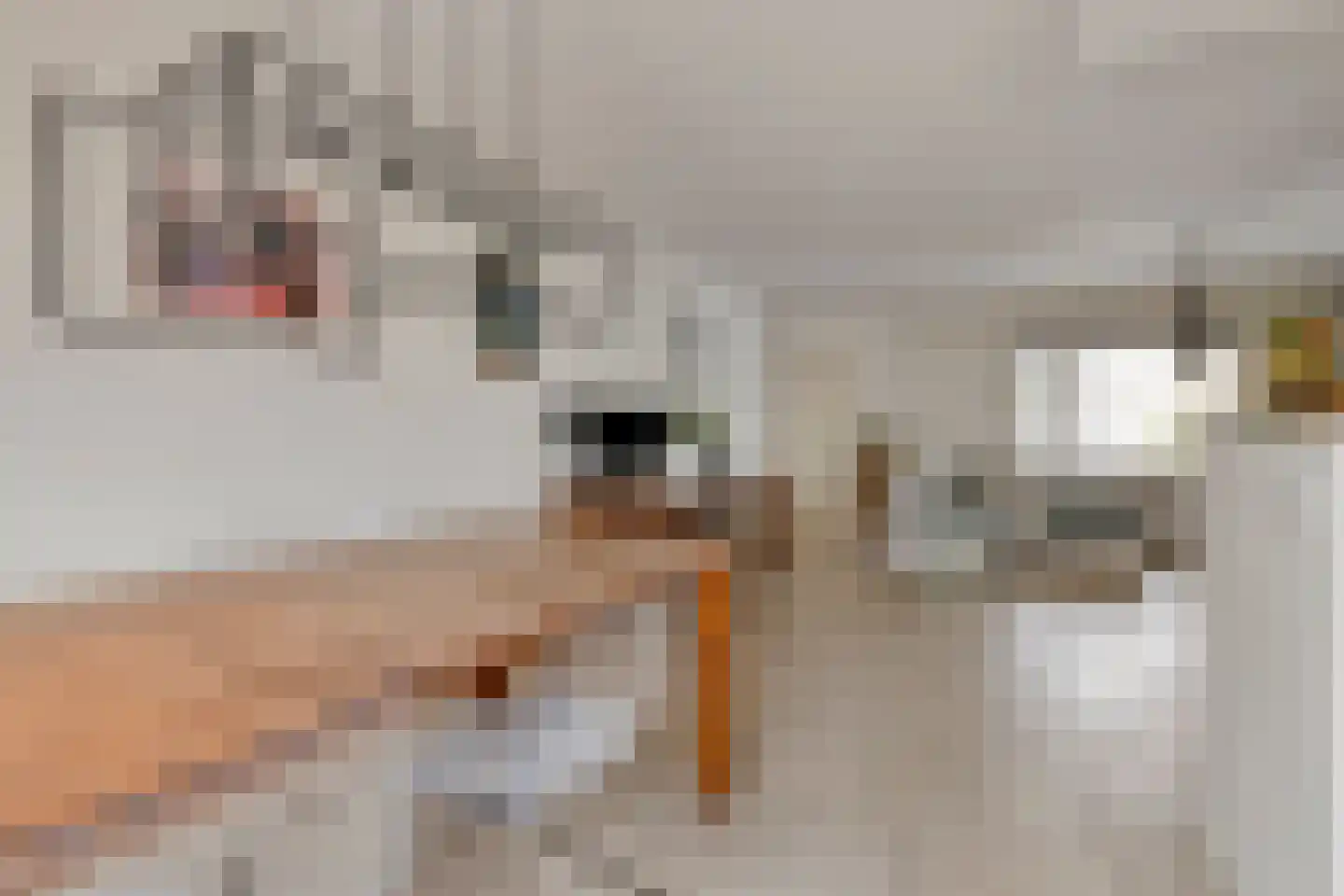 Maaikensveld 22 Roosendaal thumbnail 9