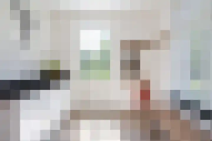 Maaikeslân 5 Goutum thumbnail 24