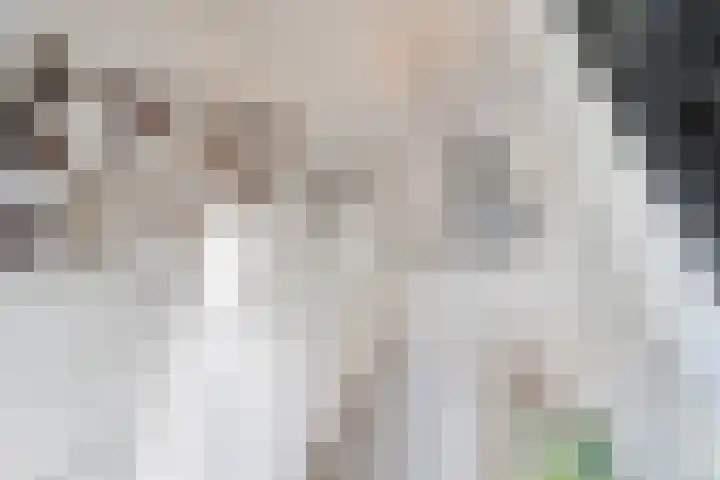 Maaikeslân 5 Goutum thumbnail 25