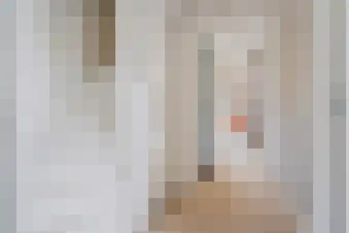 Maaikeslân 5 Goutum thumbnail 27
