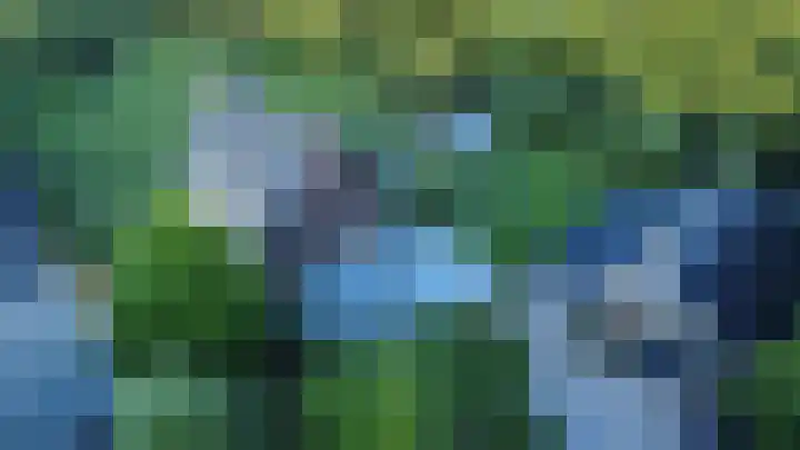 Maaikeslân 5 Goutum thumbnail 4