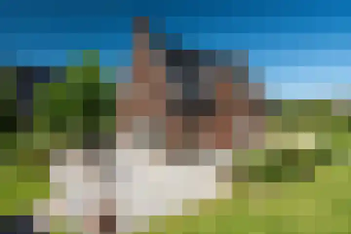 Maaikeslân 5 Goutum thumbnail 45