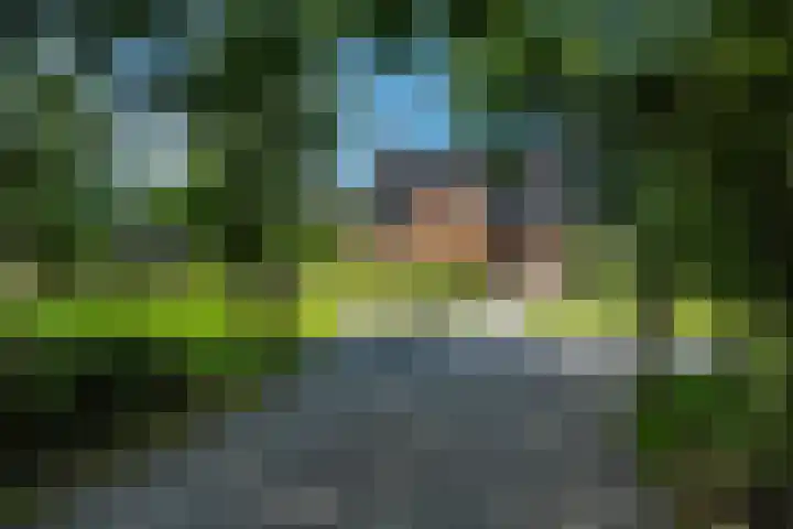 Maaikeslân 5 Goutum thumbnail 47