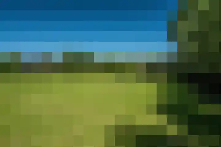 Maaikeslân 5 Goutum thumbnail 48