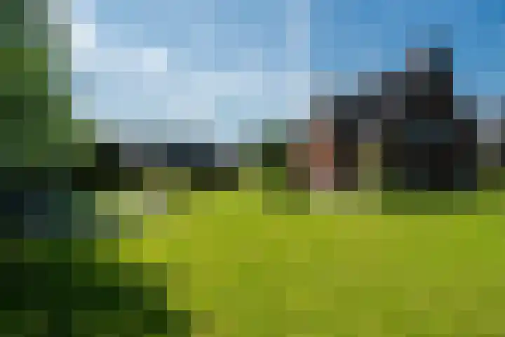 Maaikeslân 5 Goutum thumbnail 49