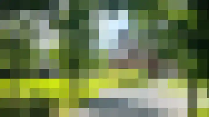 Maaikeslân 5 Goutum thumbnail 5