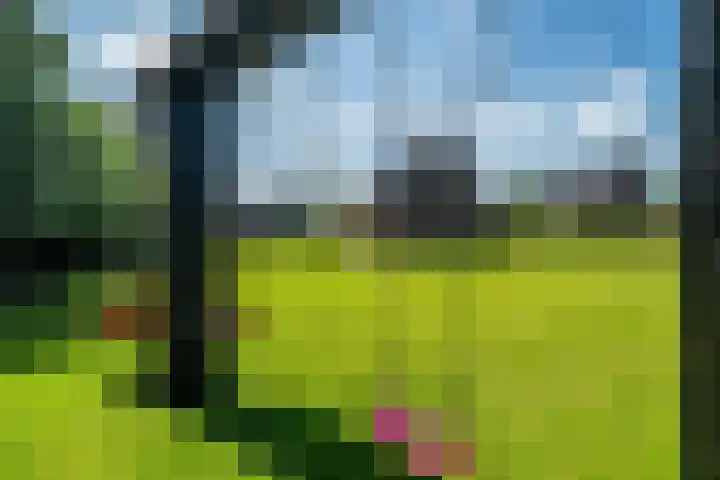 Maaikeslân 5 Goutum thumbnail 50