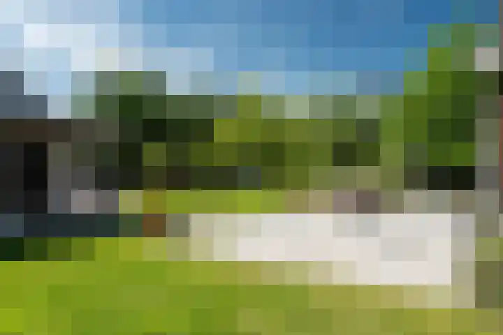 Maaikeslân 5 Goutum thumbnail 56