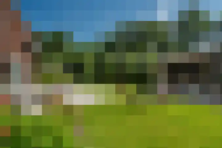 Maaikeslân 5 Goutum thumbnail 59