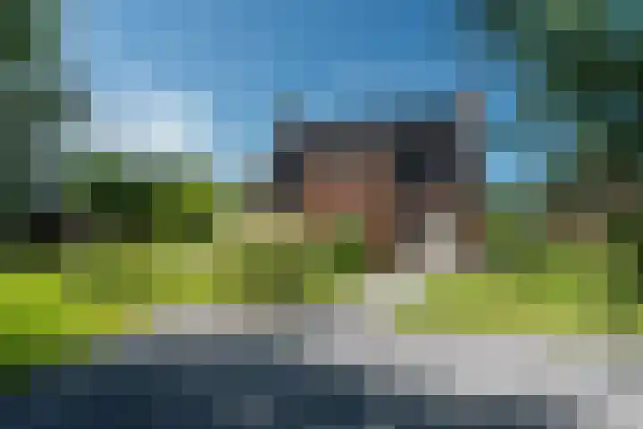 Maaikeslân 5 Goutum thumbnail 6
