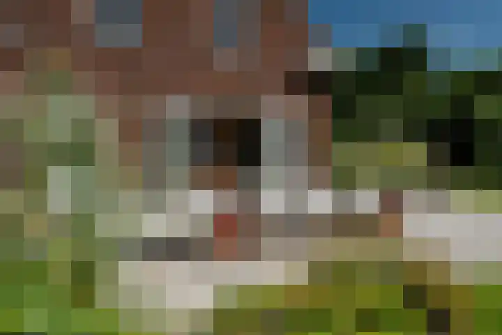 Maaikeslân 5 Goutum thumbnail 60