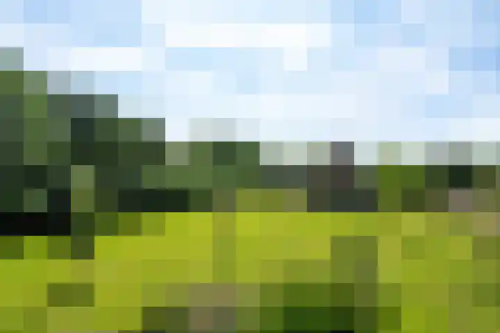 Maaikeslân 5 Goutum thumbnail 61