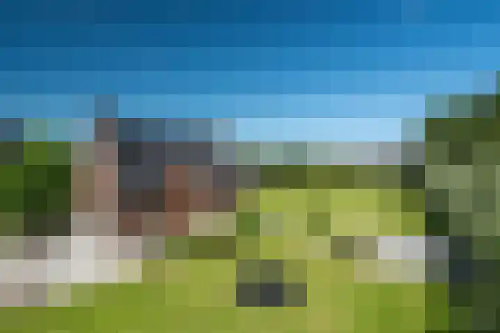 Maaikeslân 5 Goutum thumbnail 62