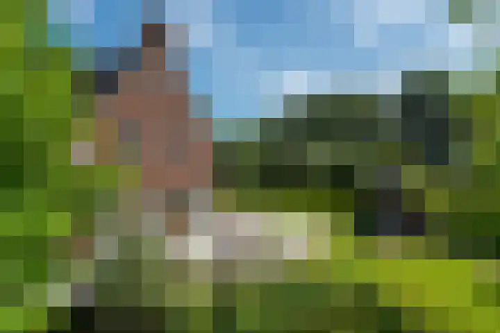 Maaikeslân 5 Goutum thumbnail 63