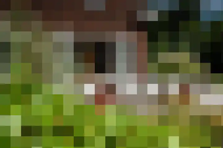 Maaikeslân 5 Goutum thumbnail 64