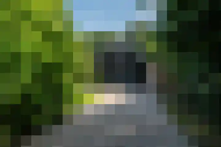 Maaikeslân 5 Goutum thumbnail 67