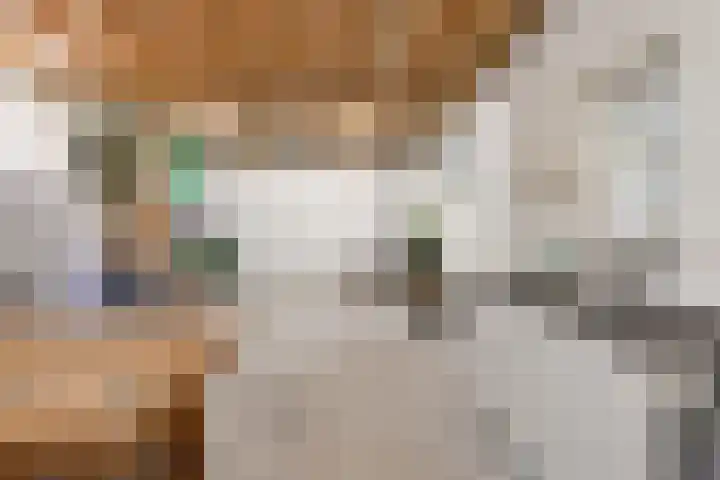 Maaikeslân 5 Goutum thumbnail 69