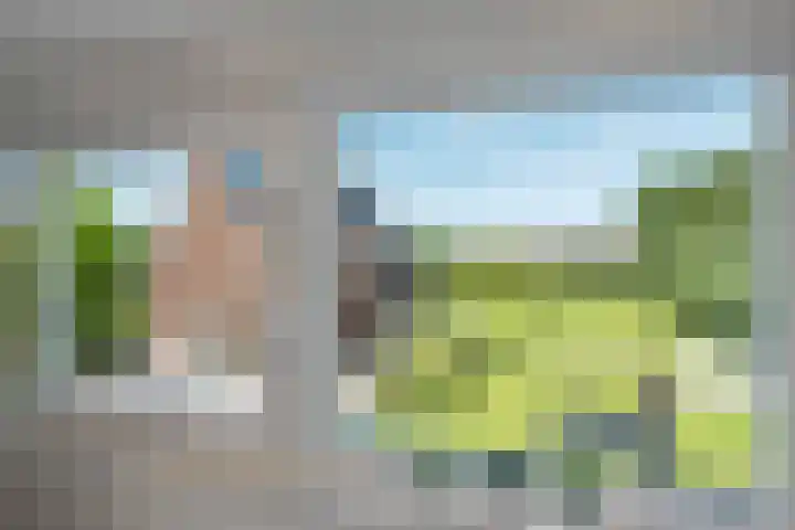 Maaikeslân 5 Goutum thumbnail 74