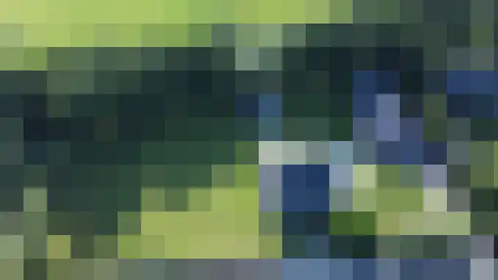 Maaikeslân 5 Goutum thumbnail 75