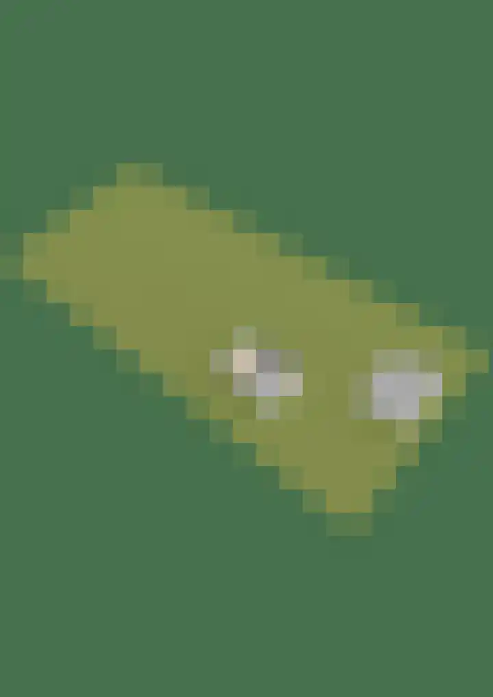 Maaikeslân 5 Goutum thumbnail 85