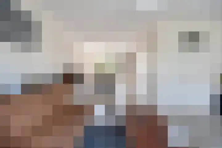 Maaiklinkstraat 27 Driewegen thumbnail 14