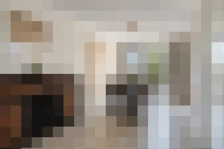 Maaiklinkstraat 27 Driewegen thumbnail 15