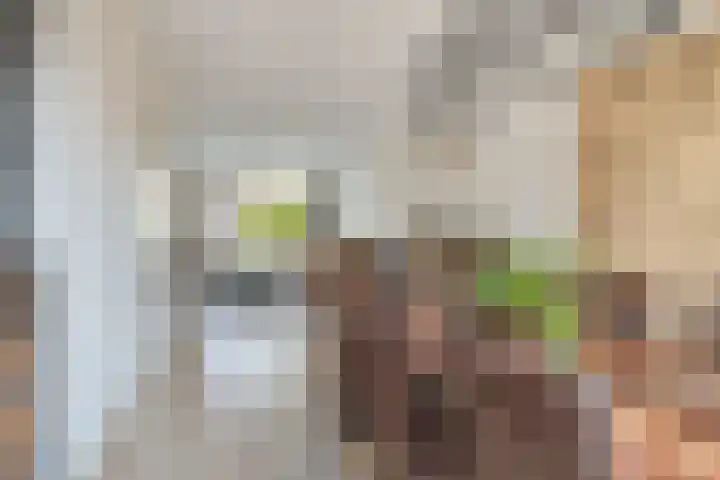 Maaiklinkstraat 27 Driewegen thumbnail 17