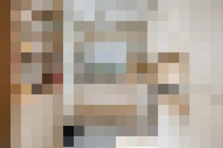 Maaiklinkstraat 27 Driewegen thumbnail 20