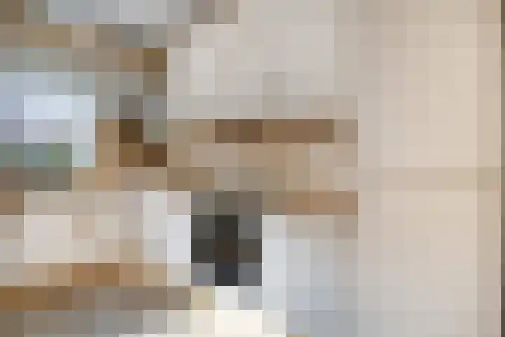 Maaiklinkstraat 27 Driewegen thumbnail 21