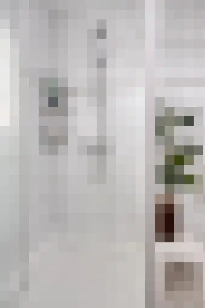 Maaiklinkstraat 27 Driewegen thumbnail 35